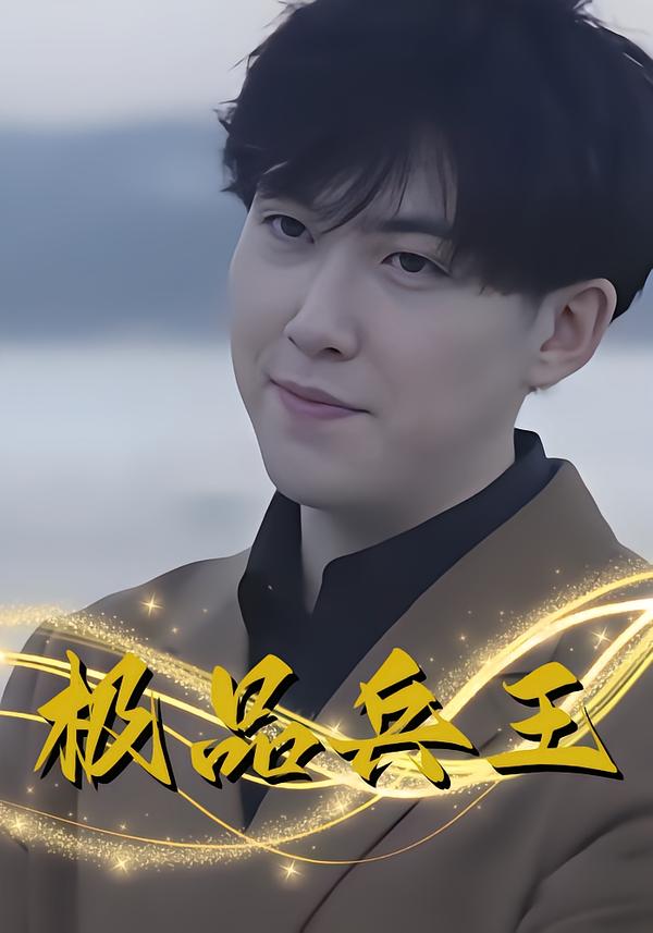 极品兵王