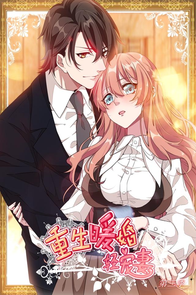 重生暖婚轻宠妻 第三季