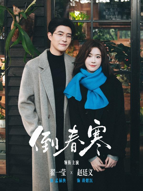 倒春寒 海报