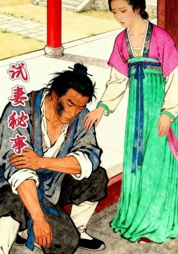 试妻秘事封面图