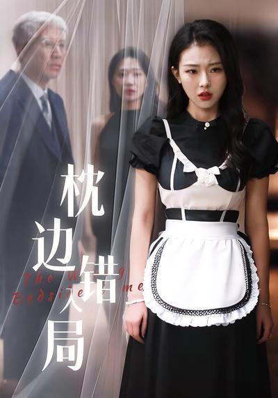 枕边错入局封面图