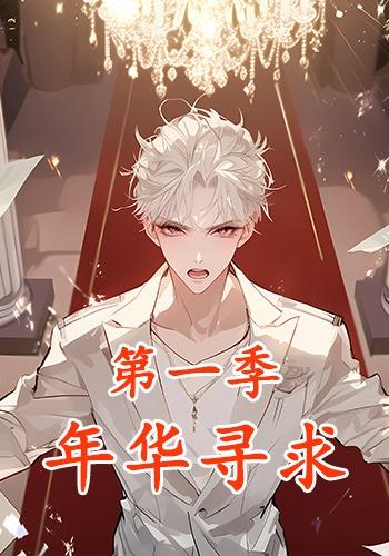 年华寻求第一季封面图