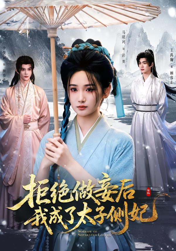 拒绝做妾后我成了太子侧妃