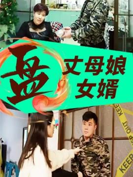 丈母娘盘女婿封面图