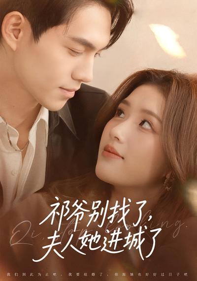 祁爷别找了夫人她进城了