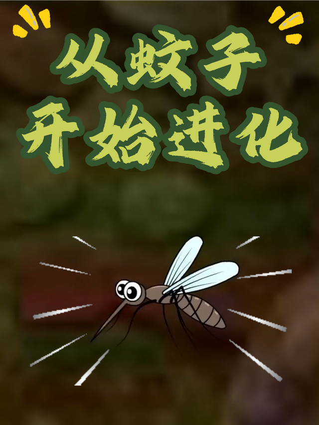从蚊子开始进化