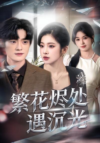 繁花烬处遇沉光