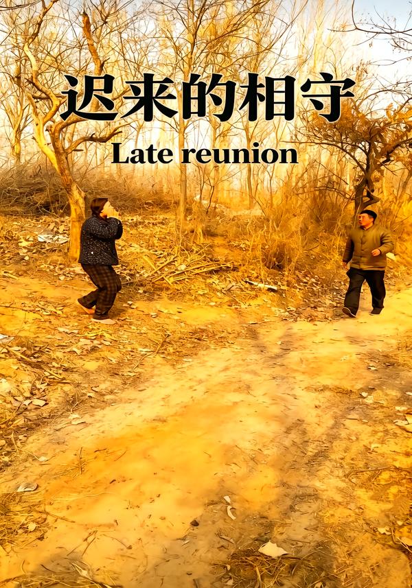 迟来的相守