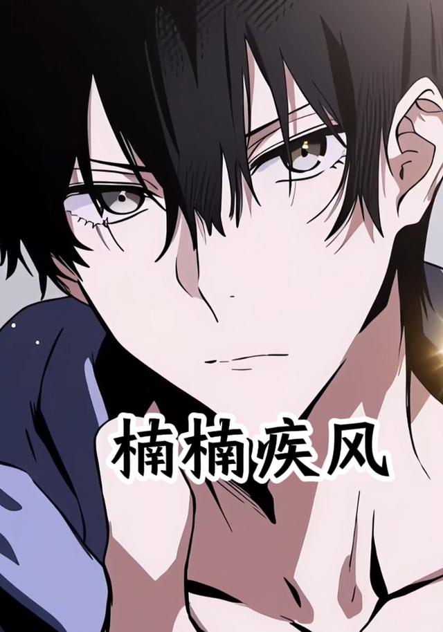 楠楠疾风封面图