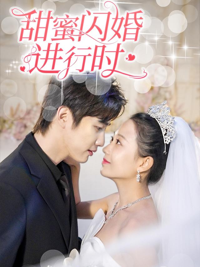 甜蜜闪婚进行时封面图