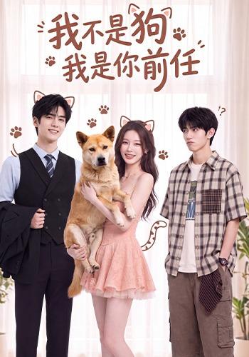 我不是狗我是你前任