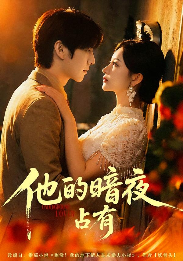 他的暗夜占有