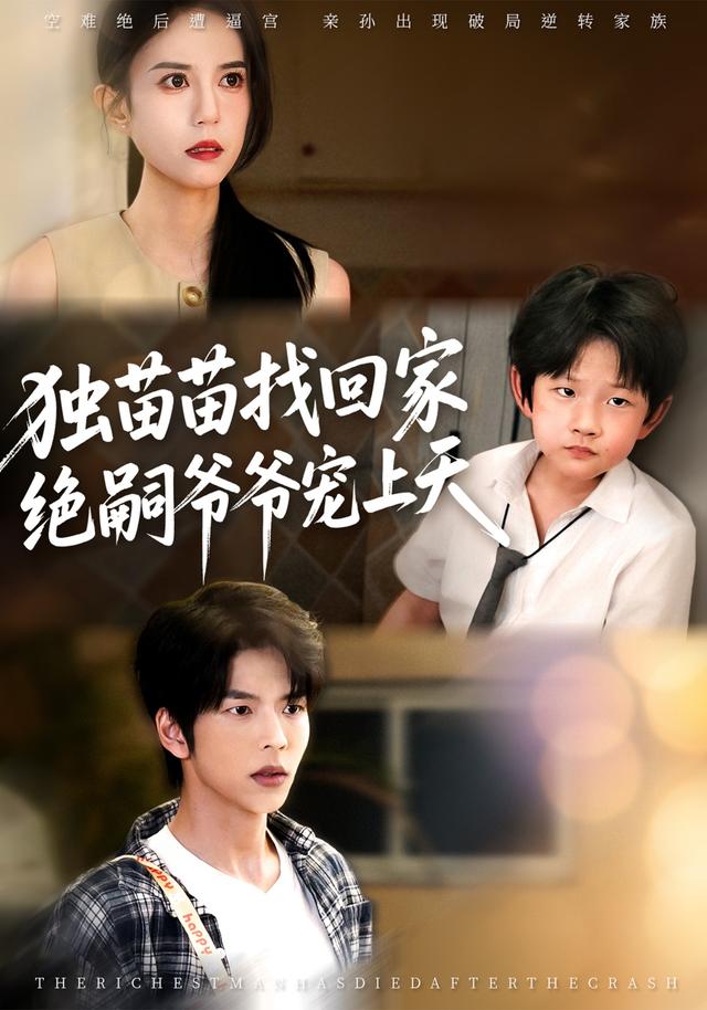 独苗苗找回家，绝嗣爷爷宠上天封面图