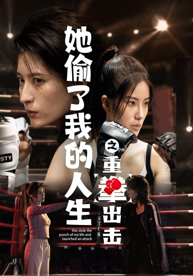 她偷了我的人生之重拳出击封面图