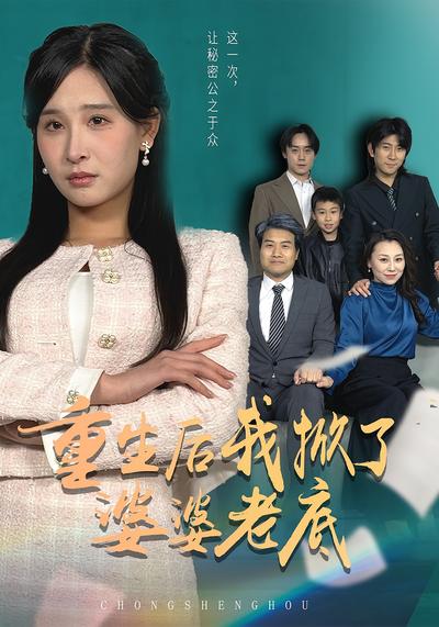 重生后我掀了婆婆老底