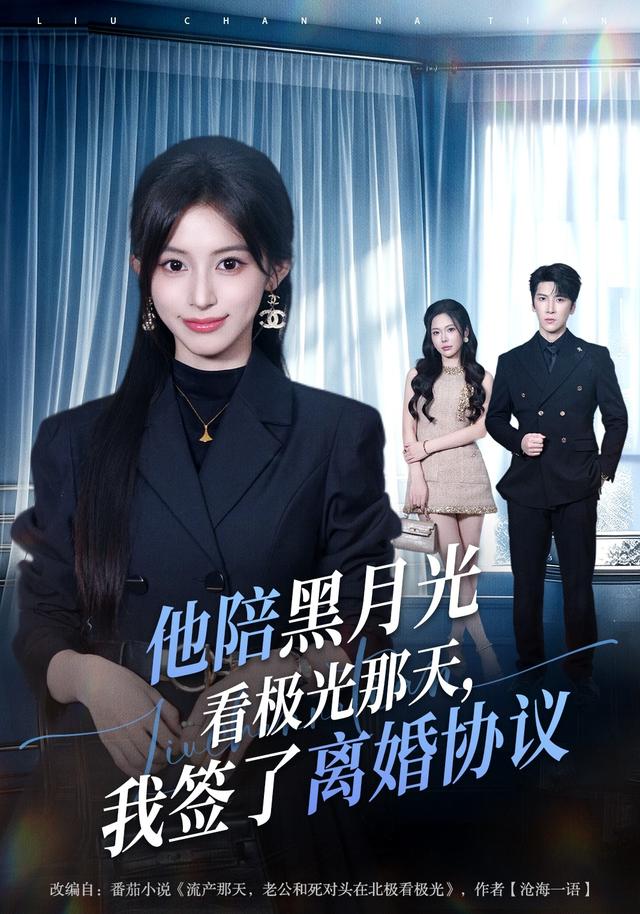 他陪黑月光看极光那天，我签了离婚协议