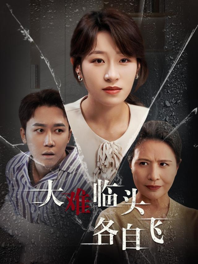 大难临头各自飞封面图