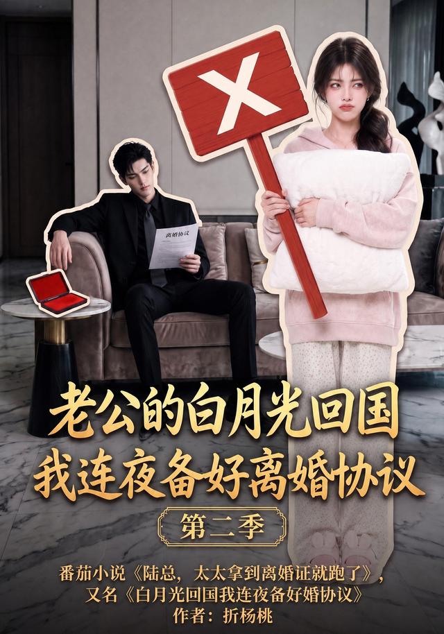老公的白月光回国我连夜备好离婚协议第二季
