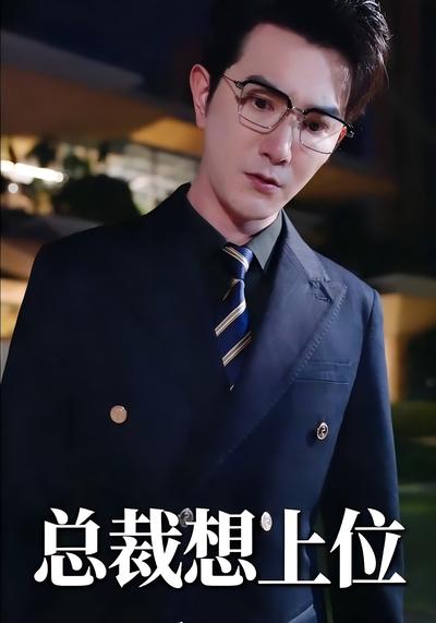 总裁想上位