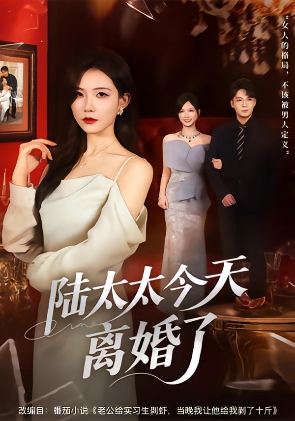 陆太太今天离婚了