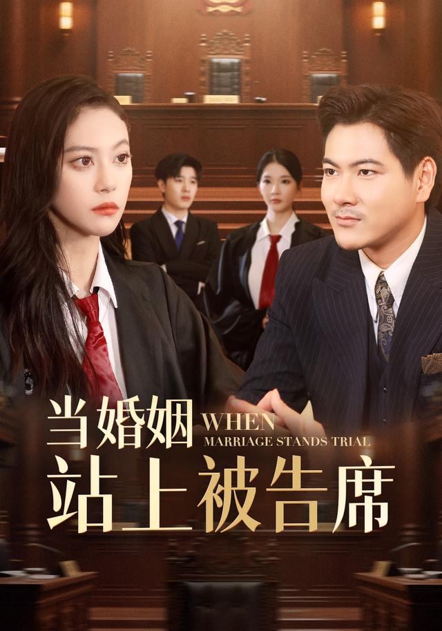 当婚姻站上被告席封面图