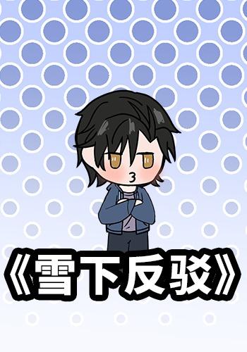 雪下反驳封面图