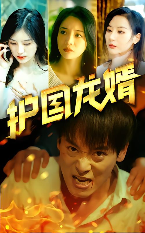 护国龙婿