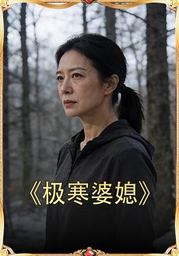 极寒婆媳封面图