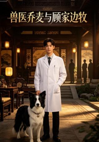 兽医乔麦与顾家边牧 cover