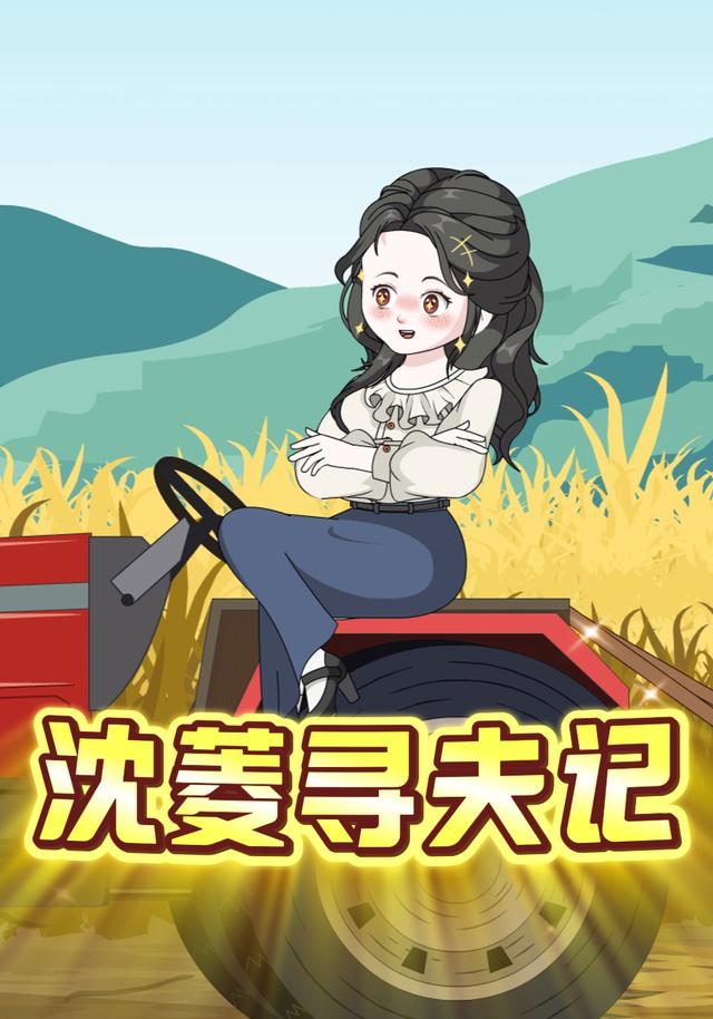 沈菱寻夫记封面图