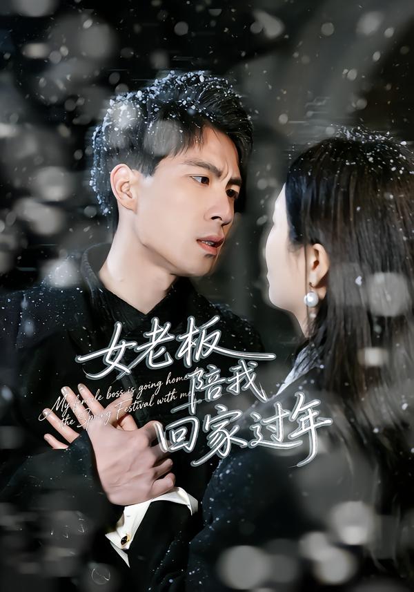 女老板陪我回家过年