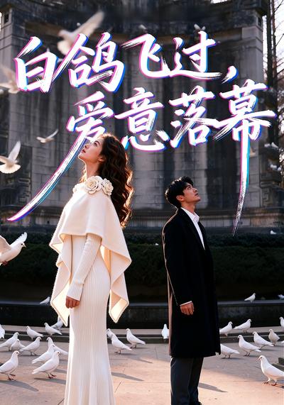 白鸽飞过，爱意落幕