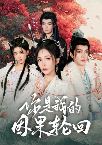 你是我的因果轮回封面图