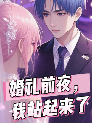 婚礼前夜，我站起来了封面图