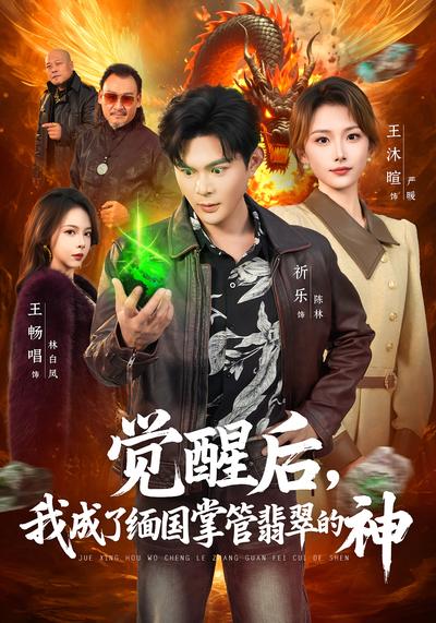 觉醒后我成了缅国掌管翡翠的神封面图