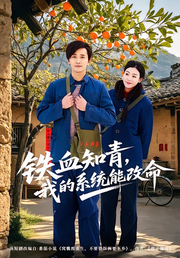 铁血知青，我的系统能改命