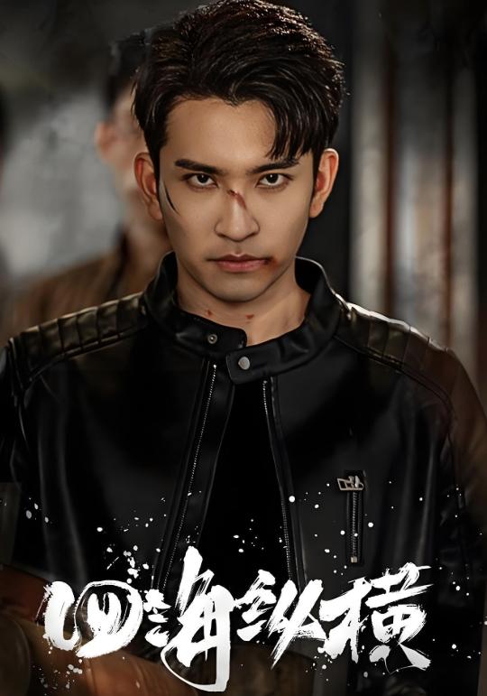 四海纵横封面图