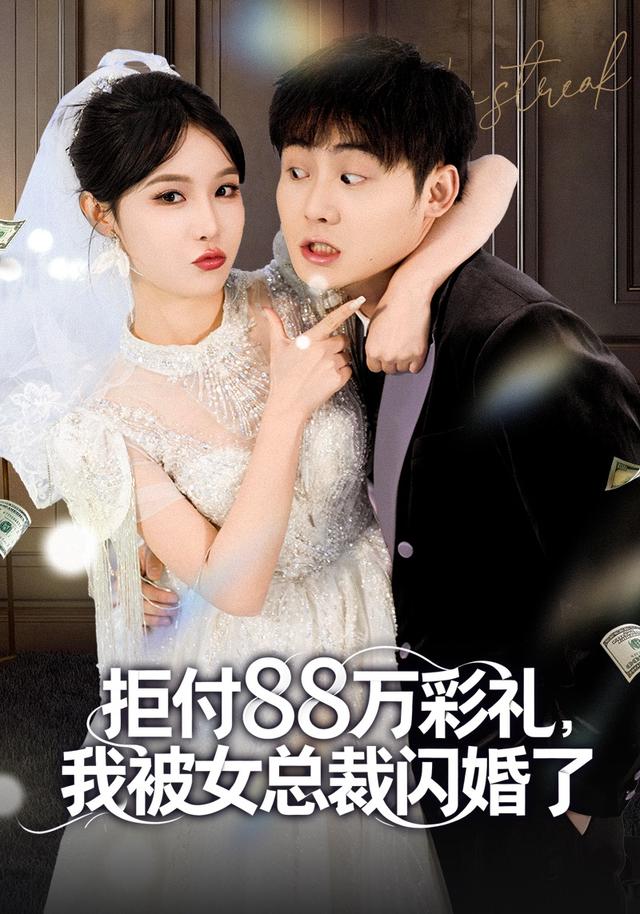 拒付 88 万彩礼，我被女总裁闪婚了封面图