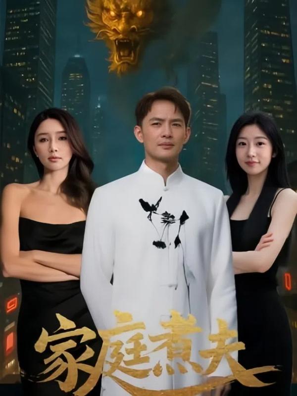 短剧家庭煮夫海报