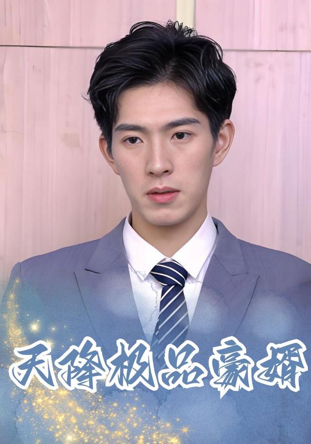 天降极品豪婿
