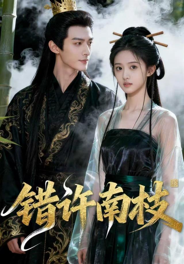 错许南枝封面图