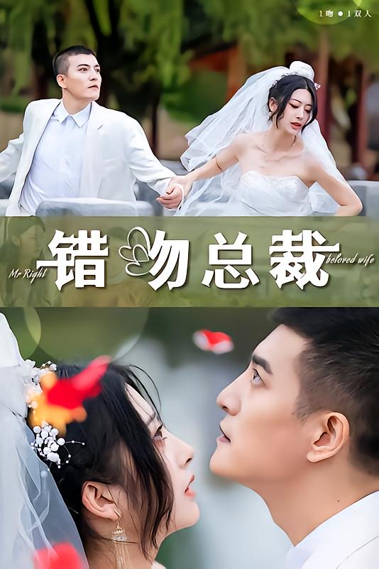 错吻总裁