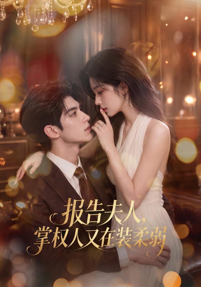 报告夫人，掌权人又在装柔弱 cover