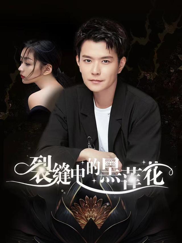 裂缝中的黑莲花