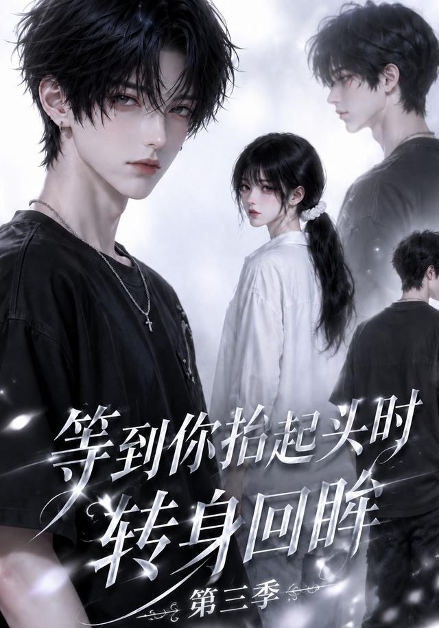 等到你抬起头时转身回眸（第三季）