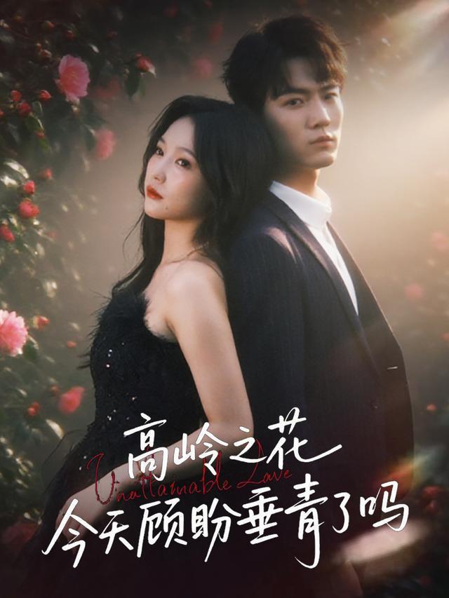 高岭之花今天顾盼垂青了吗封面图