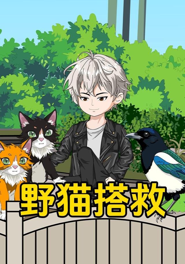 野猫搭救