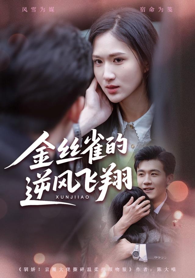 金丝雀的逆风飞翔封面图