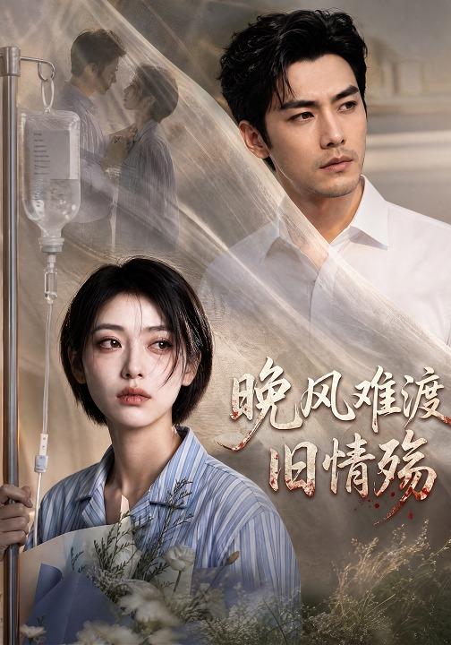 晚风难渡旧情殇 cover