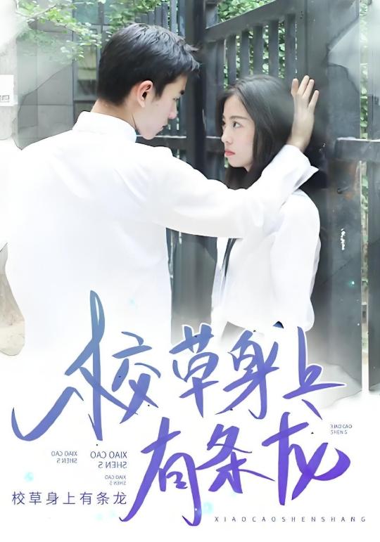 校草身上有条龙